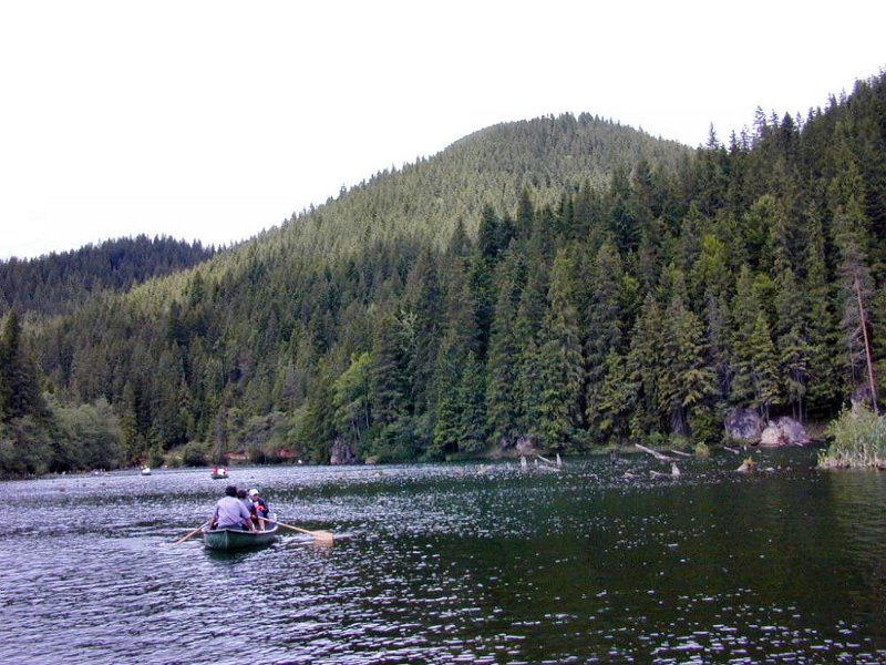 DSCN5606 (web).jpg